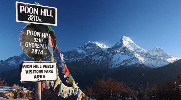 Trek from Ghorepani 2,874m to Poon Hill, then to Tadapani 2,630m