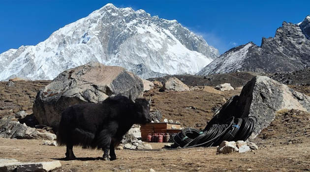 Trek to Lobuche 4,910m from Dingboche 4,410m