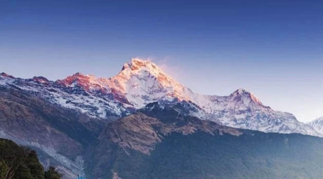 Hike from Tadapani 2,630m to Chhomrong 2,165m