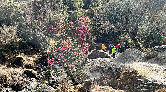 Trek to Gatlang (2337 m) - 6/7 hrs