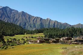 Trek to Ringmo  3,600m from Dajok Tang 4,080m