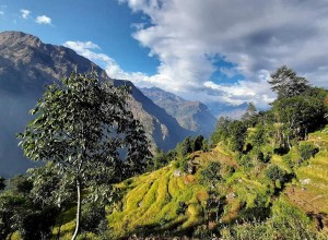 Ruby Valley Trek-9 Days