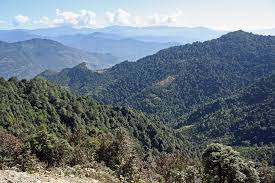 Trek from Taplejung to Lali Kharka (2265 m)